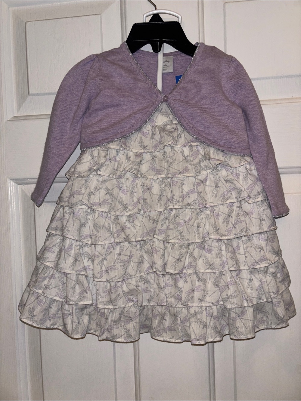 GAP Dragonfly Ruffle Dress Set